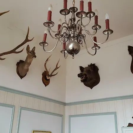 Chateau Rouillon D'allest Pensión 3*